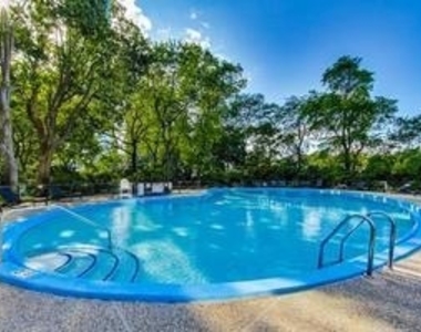 505 N Lake Shore Drive - Photo Thumbnail 24