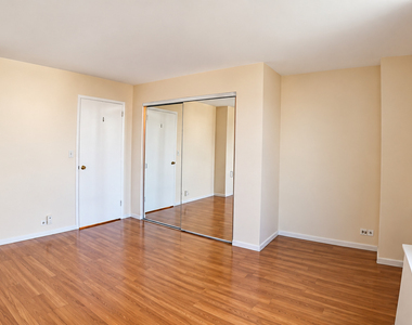 1255 N Sandburg Terrace - Photo Thumbnail 11