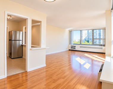 1255 N Sandburg Terrace - Photo Thumbnail 2