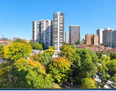 1255 N Sandburg Terrace - Photo Thumbnail 13