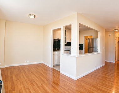 1255 N Sandburg Terrace - Photo Thumbnail 3