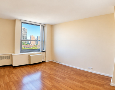 1255 N Sandburg Terrace - Photo Thumbnail 12