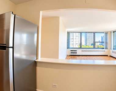 1255 N Sandburg Terrace - Photo Thumbnail 6