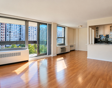 1255 N Sandburg Terrace - Photo Thumbnail 1