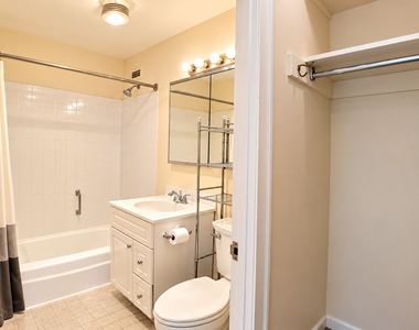 1255 N Sandburg Terrace - Photo Thumbnail 10