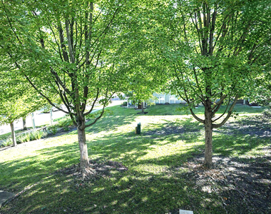 3442 Bradbury Circle - Photo Thumbnail 22