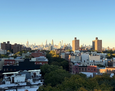 596 Washington Avenue - Photo Thumbnail 6