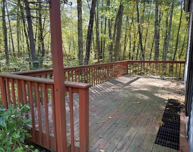 563 Forest - Photo Thumbnail 10