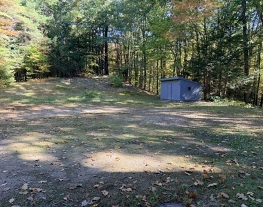 563 Forest - Photo Thumbnail 11