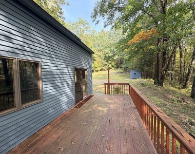563 Forest - Photo Thumbnail 9