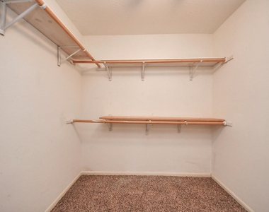 14622 Golden Cypress Lane - Photo Thumbnail 27