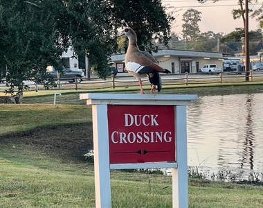 8415 Sunset Loch Drive - Photo Thumbnail 23