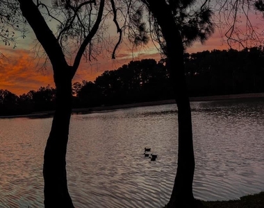 8415 Sunset Loch Drive - Photo Thumbnail 21