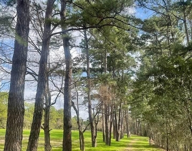 8415 Sunset Loch Drive - Photo Thumbnail 22