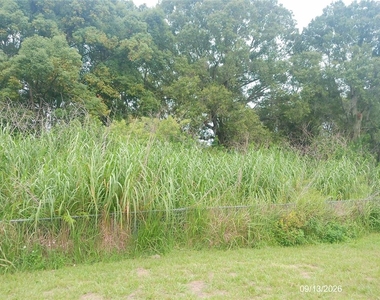 3353 S Combee Road - Photo Thumbnail 18