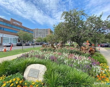444 Bedford Street - Photo Thumbnail 22