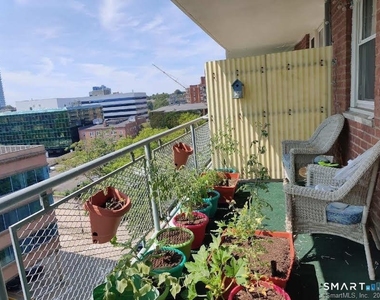 444 Bedford Street - Photo Thumbnail 11