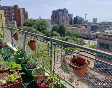 444 Bedford Street - Photo Thumbnail 3