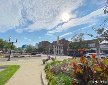 444 Bedford Street - Photo Thumbnail 21