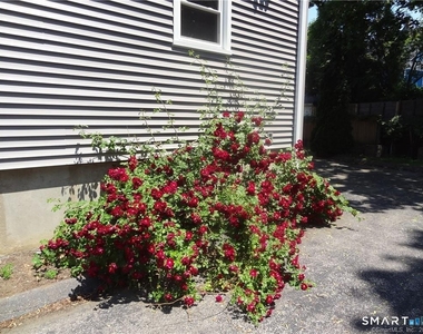 64 Nash Lane - Photo Thumbnail 1