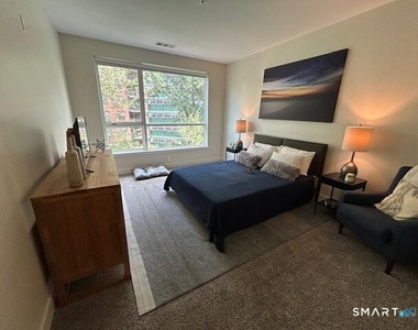 111b Morgan Street - Photo Thumbnail 23