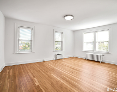 218 Bedford Street - Photo Thumbnail 16