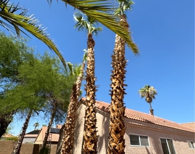 19 Sandwedge Drive - Photo Thumbnail 17