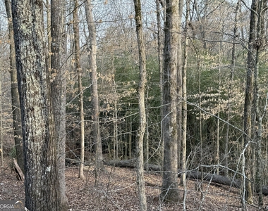 1030 Cherokee Circle - Photo Thumbnail 5