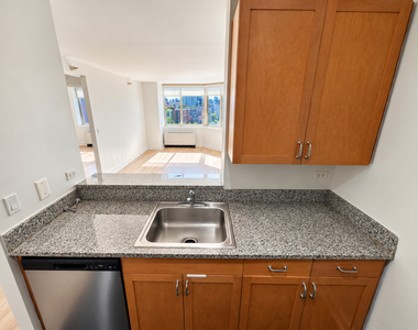 420 West 42nd Street - Photo Thumbnail 4