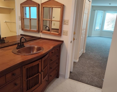 111 Bluffview Lane - Photo Thumbnail 11
