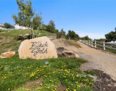 17206 Coriander Court - Photo Thumbnail 61