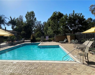 12 Lemon Tree - Photo Thumbnail 21