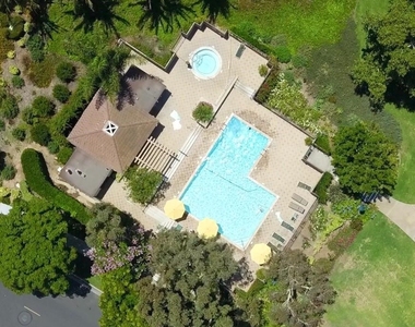 12 Lemon Tree - Photo Thumbnail 24