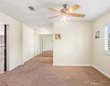 45059 Tiburcio - Photo Thumbnail 15