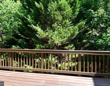 7810 Locust Leaf Lane - Photo Thumbnail 40