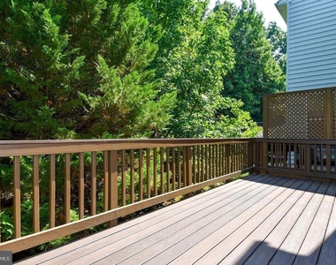 7810 Locust Leaf Lane - Photo Thumbnail 41