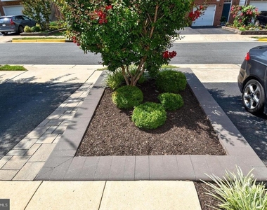 7810 Locust Leaf Lane - Photo Thumbnail 43