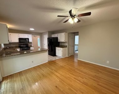223 Mint Hill Drive - Photo Thumbnail 10