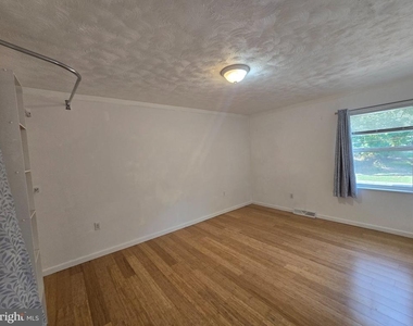 159 Green Lane - Photo Thumbnail 19