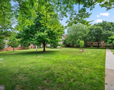 2402 Colston Drive - Photo Thumbnail 23