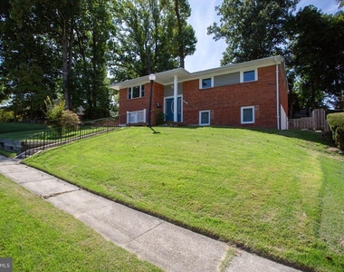 1007 Venice Drive - Photo Thumbnail 3