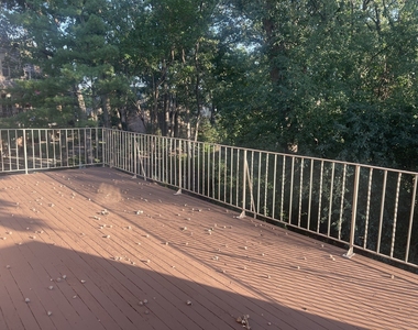 19w143 Avenue Rue Royal Avenue - Photo Thumbnail 5