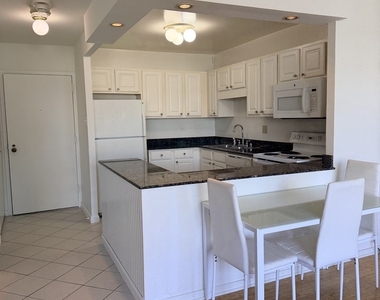 211 E Ohio Street - Photo Thumbnail 5