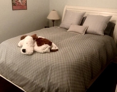 1512 W Wilson Avenue - Photo Thumbnail 10