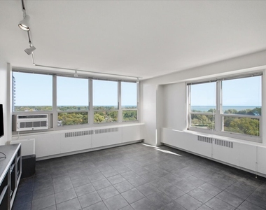 3950 N Lake Shore Drive - Photo Thumbnail 5