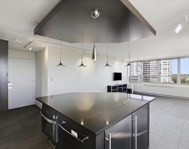 3950 N Lake Shore Drive - Photo Thumbnail 4