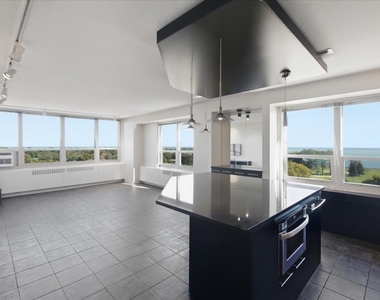 3950 N Lake Shore Drive - Photo Thumbnail 2