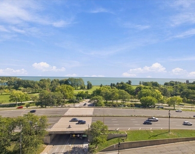 3950 N Lake Shore Drive - Photo Thumbnail 9