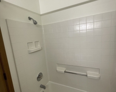 1829 S Carpenter Street - Photo Thumbnail 19