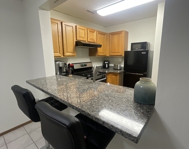 1829 S Carpenter Street - Photo Thumbnail 3